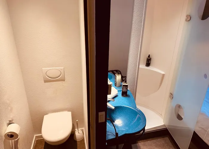 Ibis Budget Centre Gare קולמר